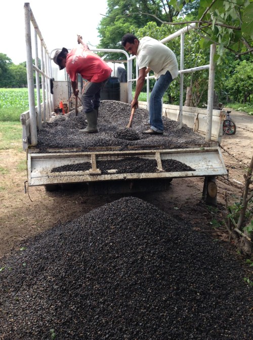 Unloading gravel to pack in around the casing of the well.