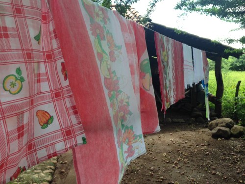 Laundry line at local home.